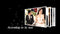Blufftitler BLUFFTITLER SUPER COMBO 11 - LOVE & WEDDING Blufftitler 99999Store