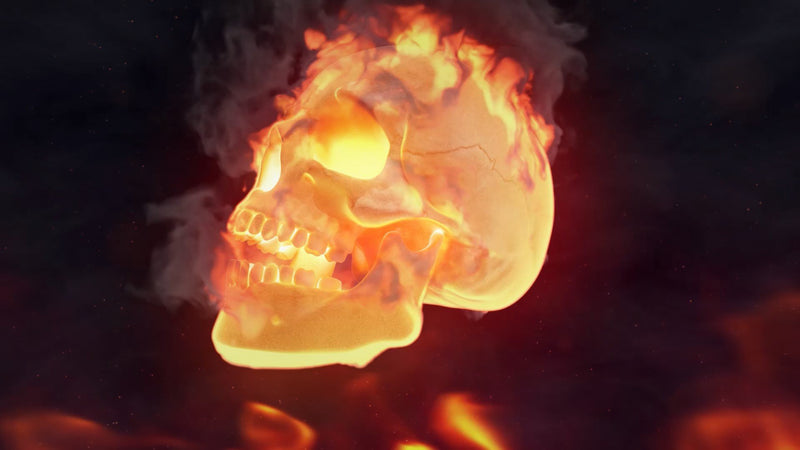 Blufftitler Blufftitler Halloween Fire Skull Logo Blufftitler 99999Store