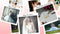 Blufftitler Blufftitler Wedding Slideshow Blufftitler 99999Store