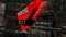 Blufftitler CM233 - Radical Logo Blufftitler 99999Store