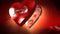 Blufftitler CM254 - Caixa coração Blufftitler 99999Store