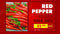 Blufftitler PRODUCT PROMO - PACK 01 Blufftitler 99999Store